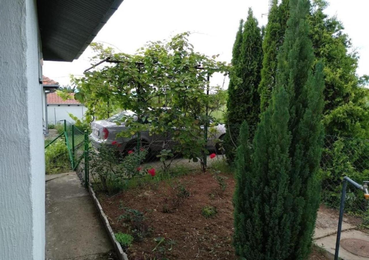 Villa Cozy House Cvetkovic Ni Exterior foto
